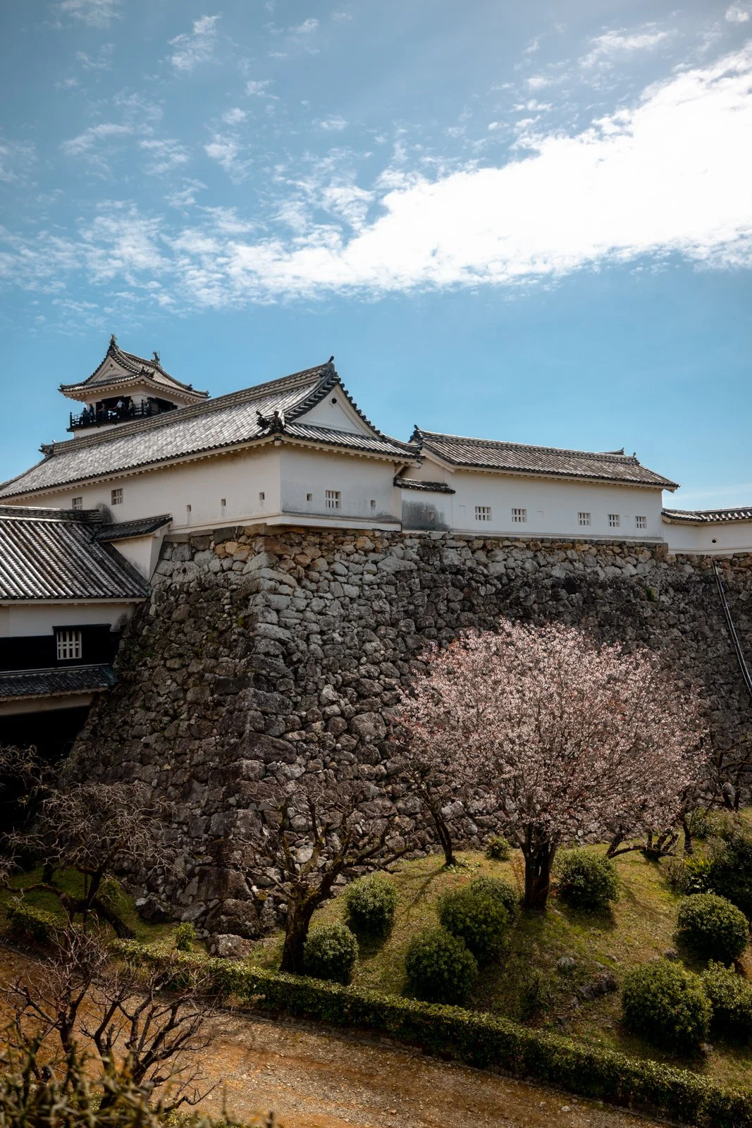 2026 KOCHI CASTLE-21.jpg