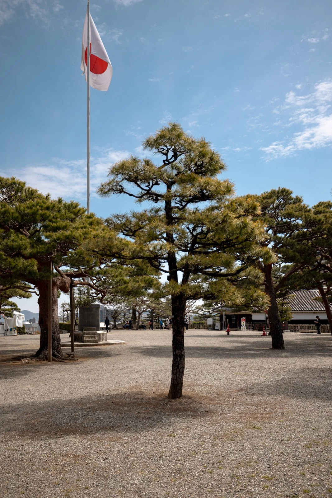 2026 KOCHI CASTLE-22.jpg