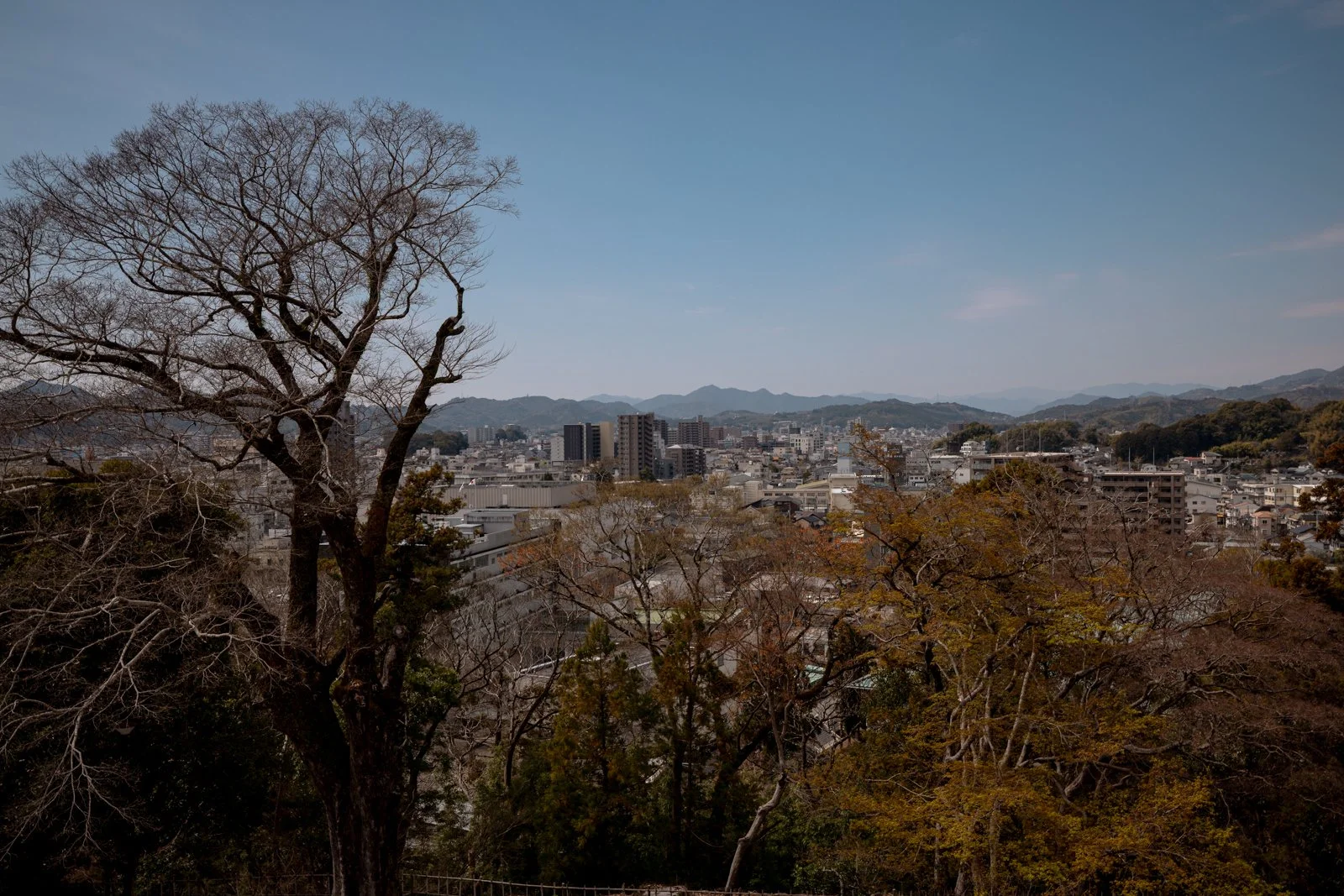 2026 KOCHI CASTLE-23.jpg