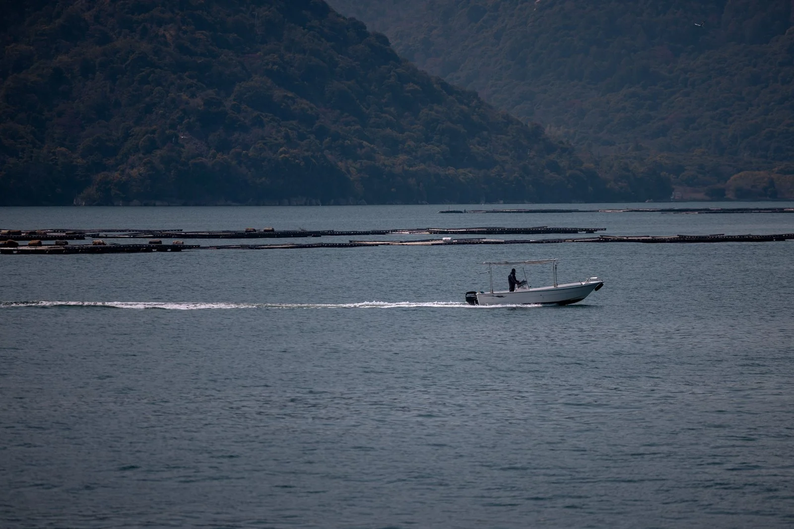 2026 HIROSHIMA MIYAJIMA ISLAND-2.jpg