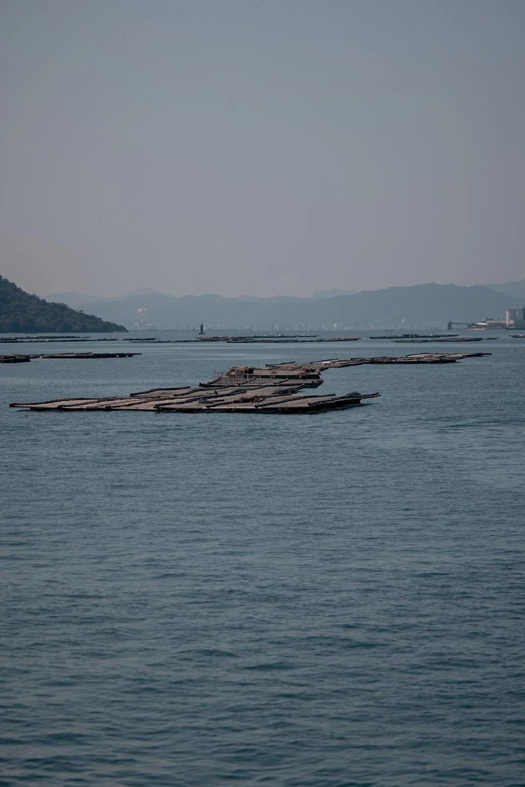 2026 HIROSHIMA MIYAJIMA ISLAND-4.jpg