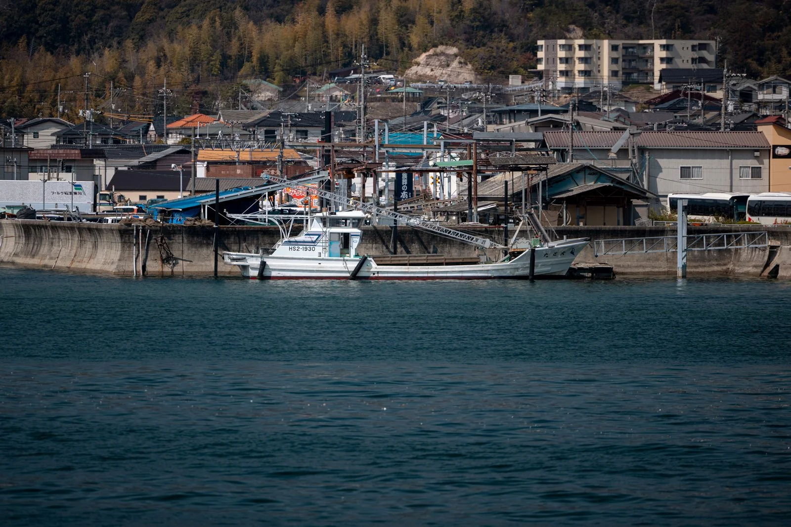 2026 HIROSHIMA MIYAJIMA ISLAND-3.jpg