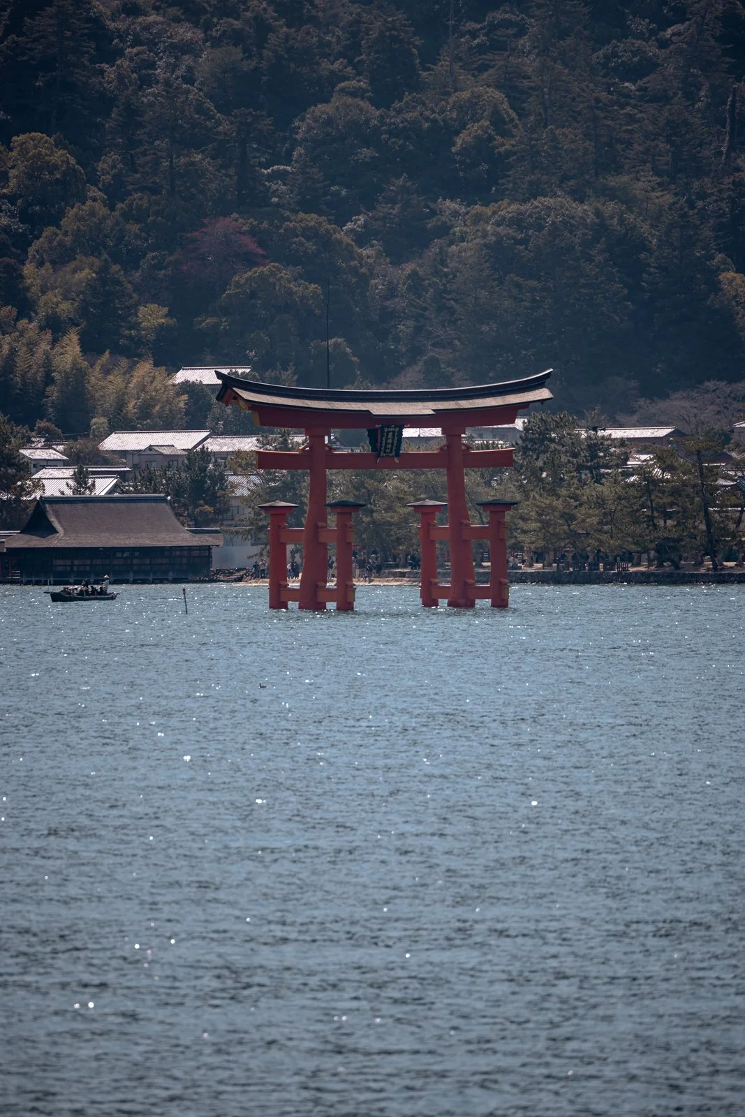 2026 HIROSHIMA MIYAJIMA ISLAND-6.jpg