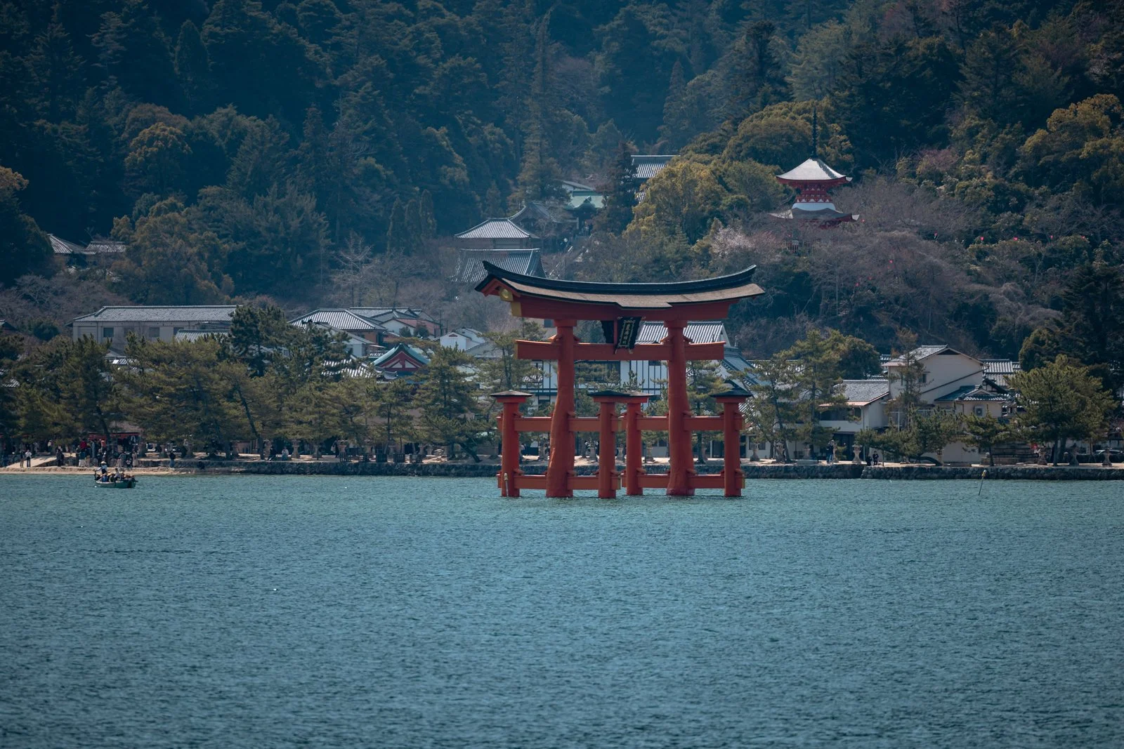 2026 HIROSHIMA MIYAJIMA ISLAND-7.jpg