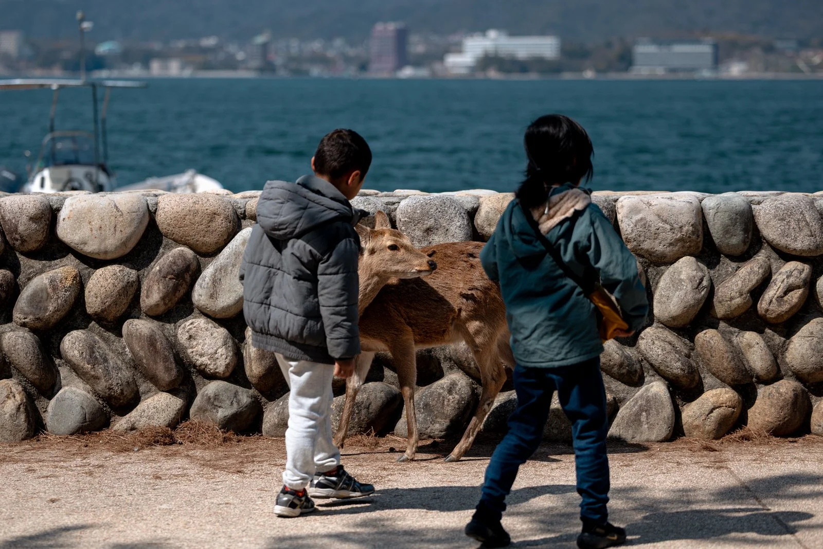 2026 HIROSHIMA MIYAJIMA ISLAND-11.jpg