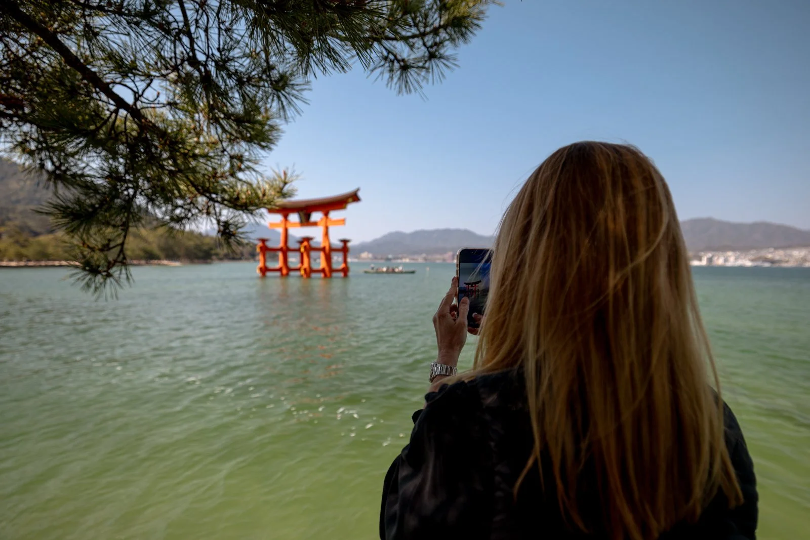 2026 HIROSHIMA MIYAJIMA ISLAND-16.jpg