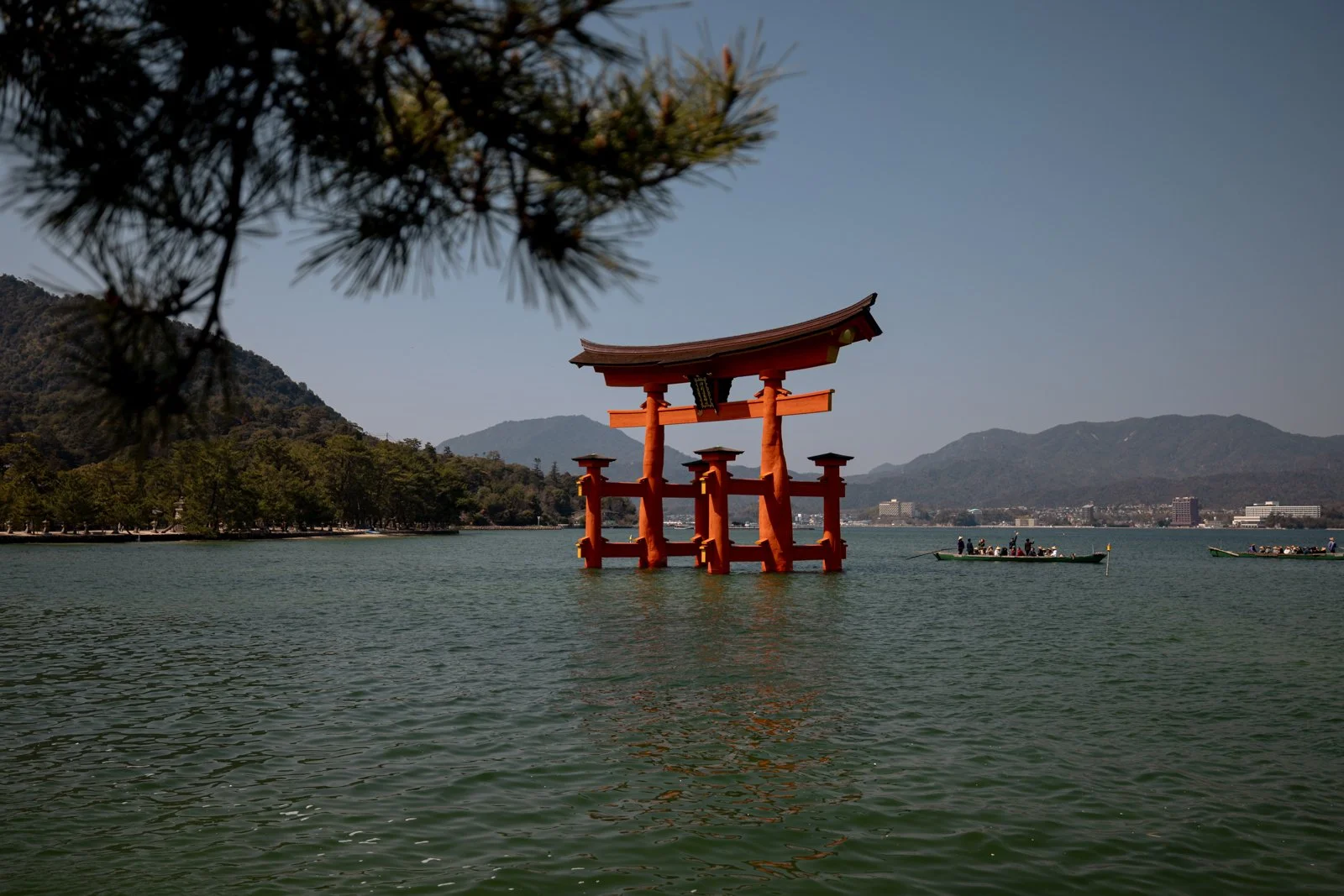 2026 HIROSHIMA MIYAJIMA ISLAND-18.jpg