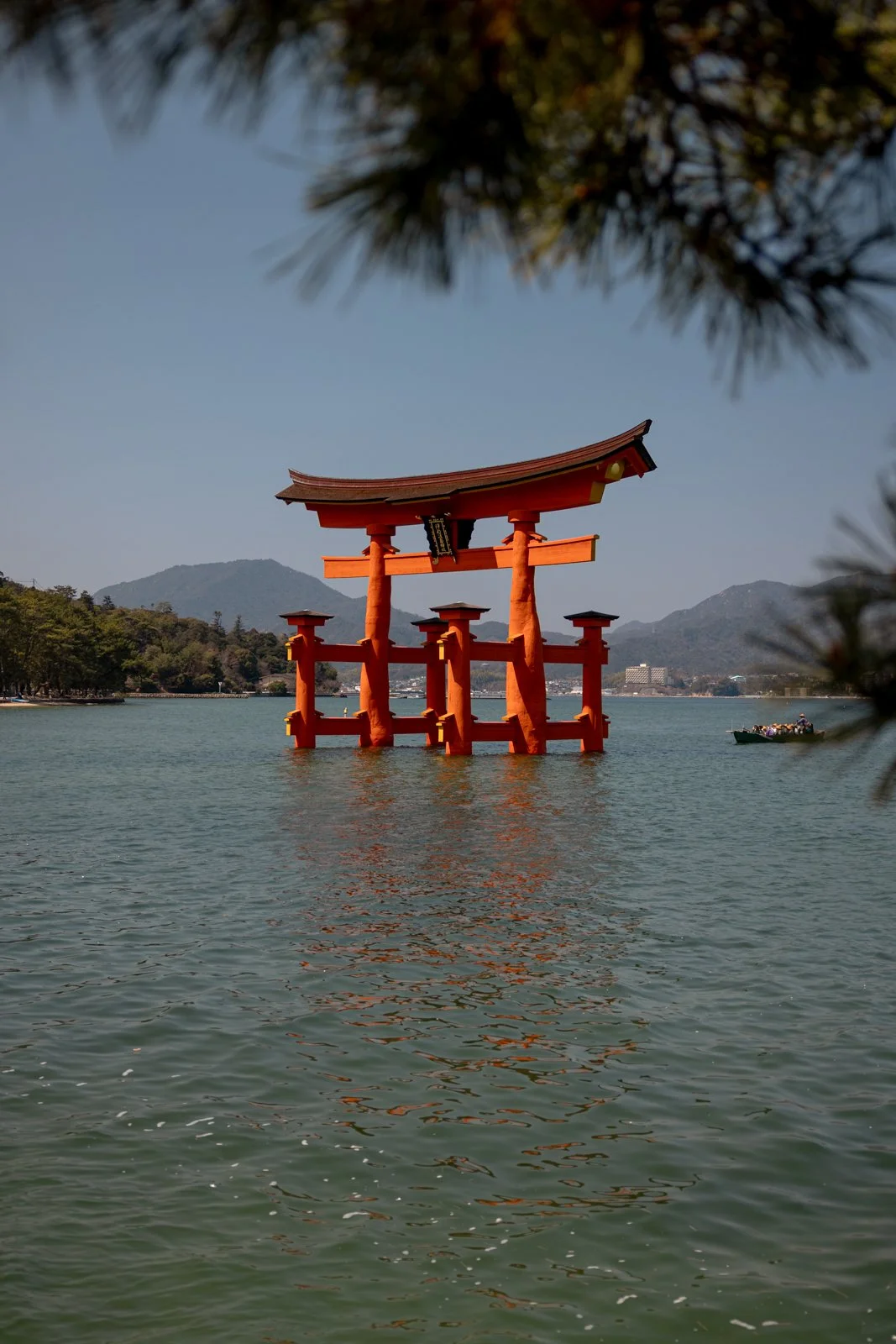 2026 HIROSHIMA MIYAJIMA ISLAND-20.jpg