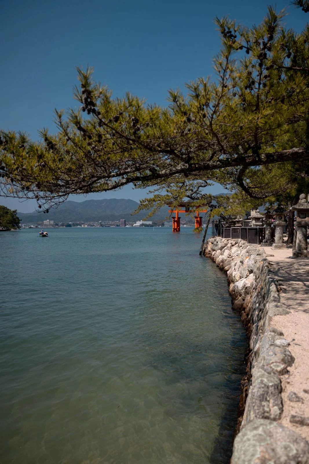 2026 HIROSHIMA MIYAJIMA ISLAND-28.jpg