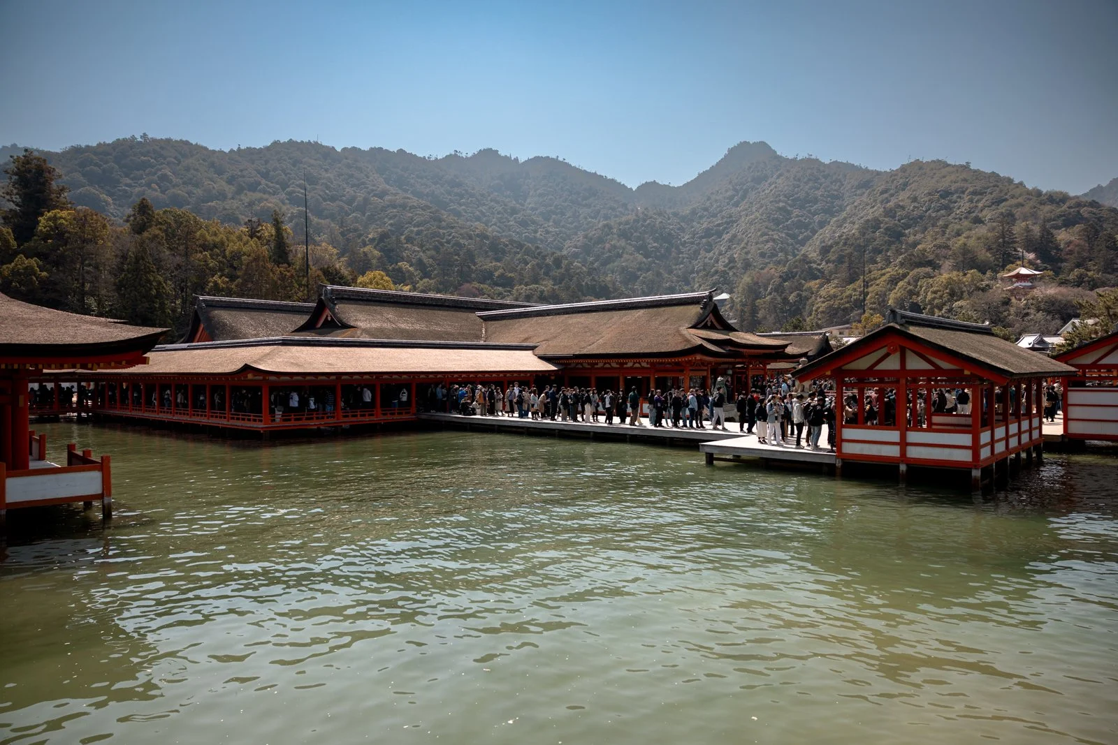 2026 HIROSHIMA MIYAJIMA ISLAND-29.jpg