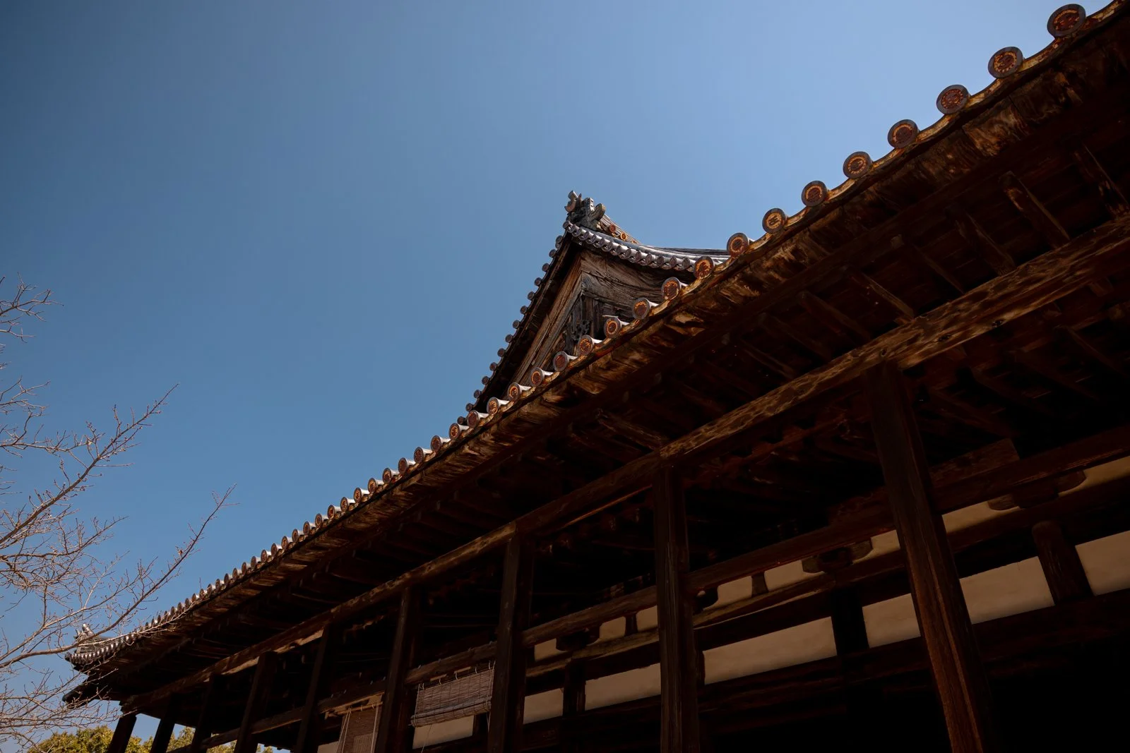 2026 HIROSHIMA MIYAJIMA ISLAND-30.jpg