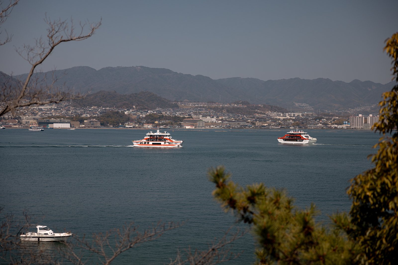 2026 HIROSHIMA MIYAJIMA ISLAND-31.jpg