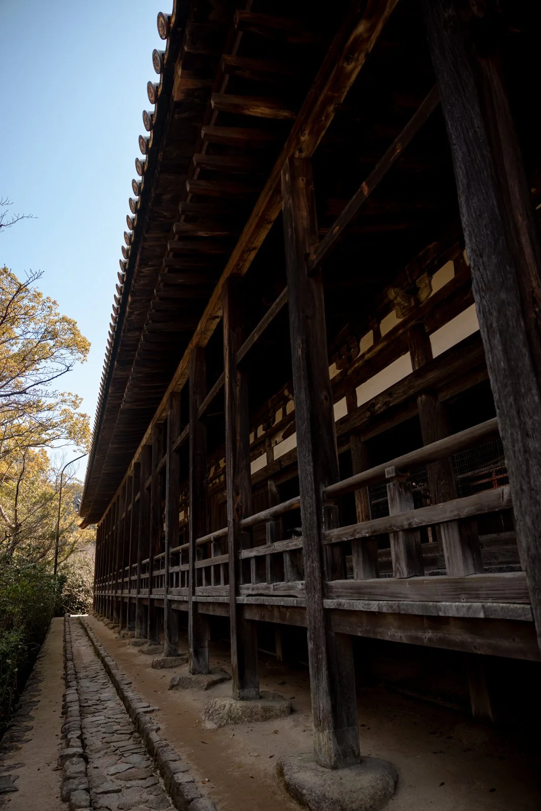 2026 HIROSHIMA MIYAJIMA ISLAND-32.jpg