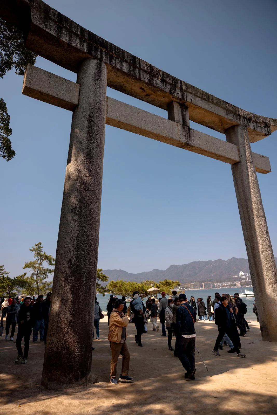 2026 HIROSHIMA MIYAJIMA ISLAND-35.jpg