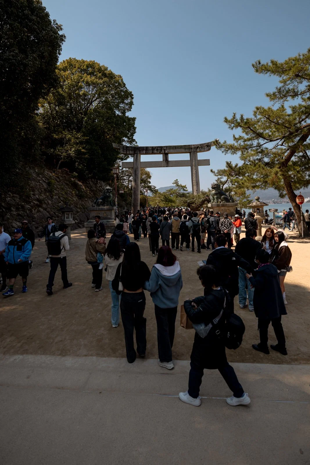 2026 HIROSHIMA MIYAJIMA ISLAND-37.jpg