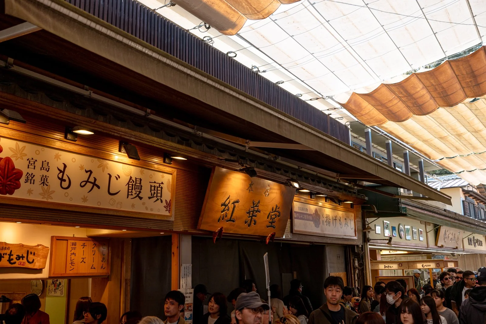 2026 HIROSHIMA MIYAJIMA ISLAND-40.jpg