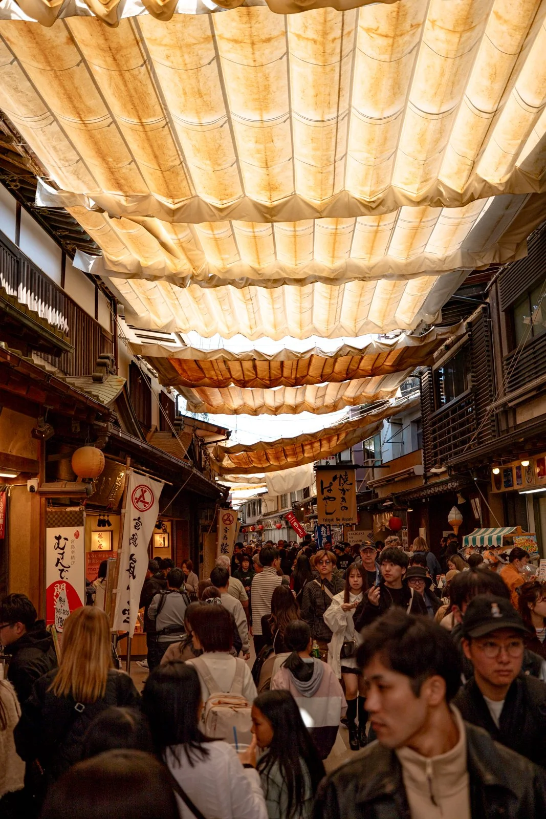 2026 HIROSHIMA MIYAJIMA ISLAND-42.jpg
