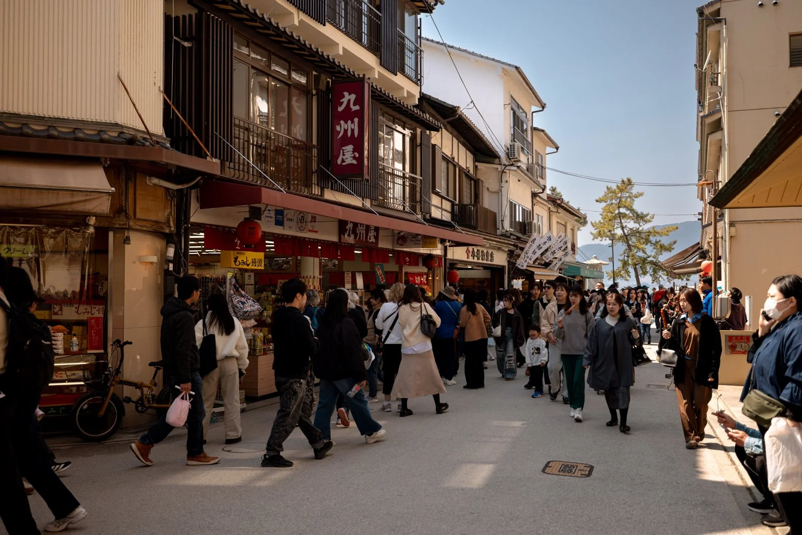 2026 HIROSHIMA MIYAJIMA ISLAND-50.jpg