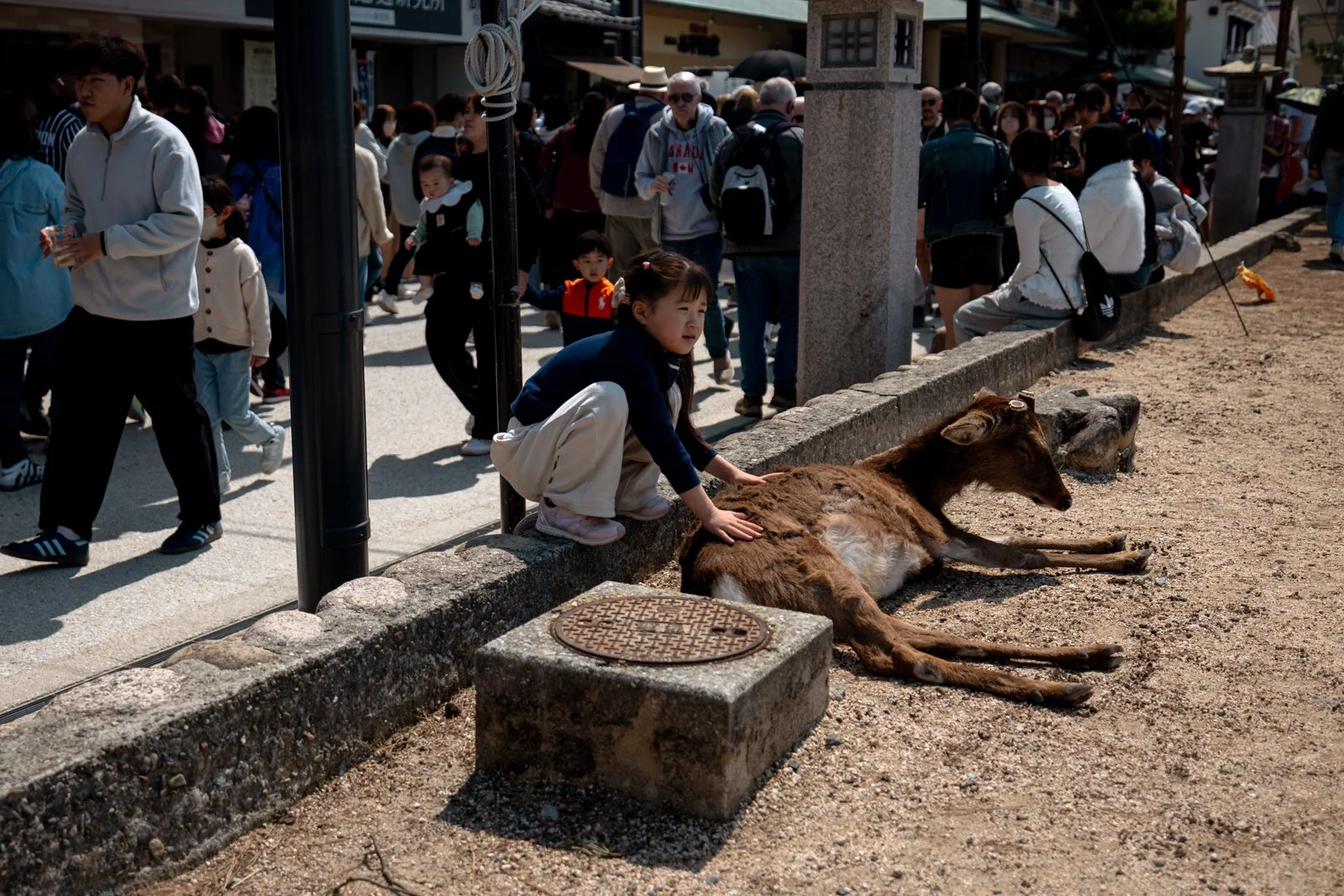 2026 HIROSHIMA MIYAJIMA ISLAND-52.jpg