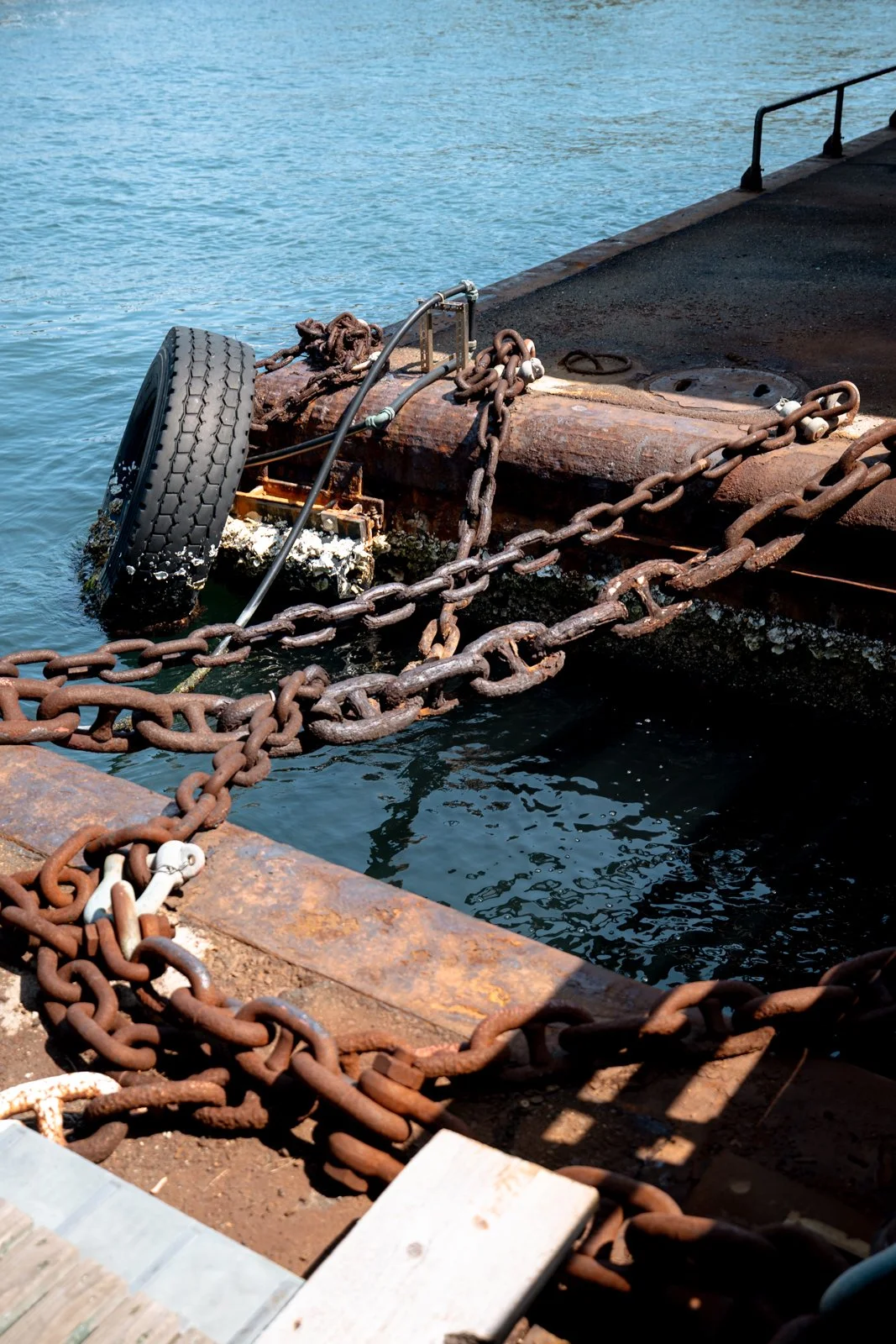 2026 HIROSHIMA MIYAJIMA ISLAND-57.jpg