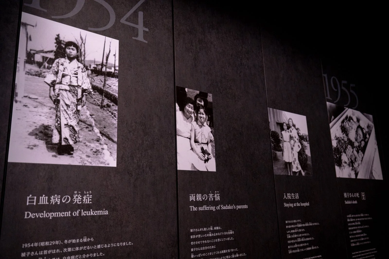 2026 HIROSHIMA ATOMIC BOMB MUSEUM-17.jpg