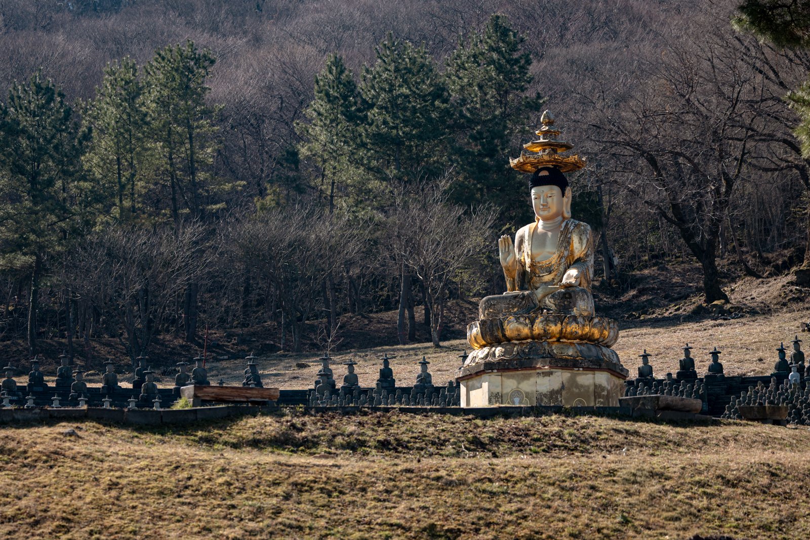 2026 JEJU ISLAND GWANEUMSA TEMPLE-11.jpg