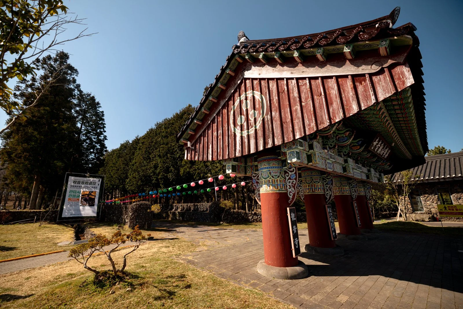2026 JEJU ISLAND JEJUMOK GWANA-1.jpg