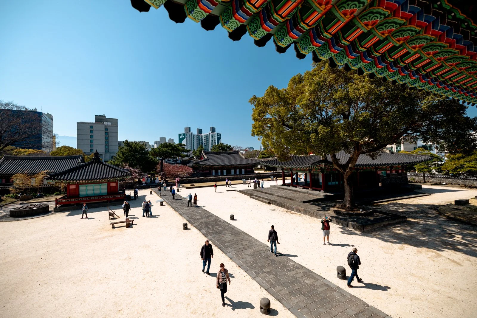 2026 JEJU ISLAND JEJUMOK GWANA-4.jpg