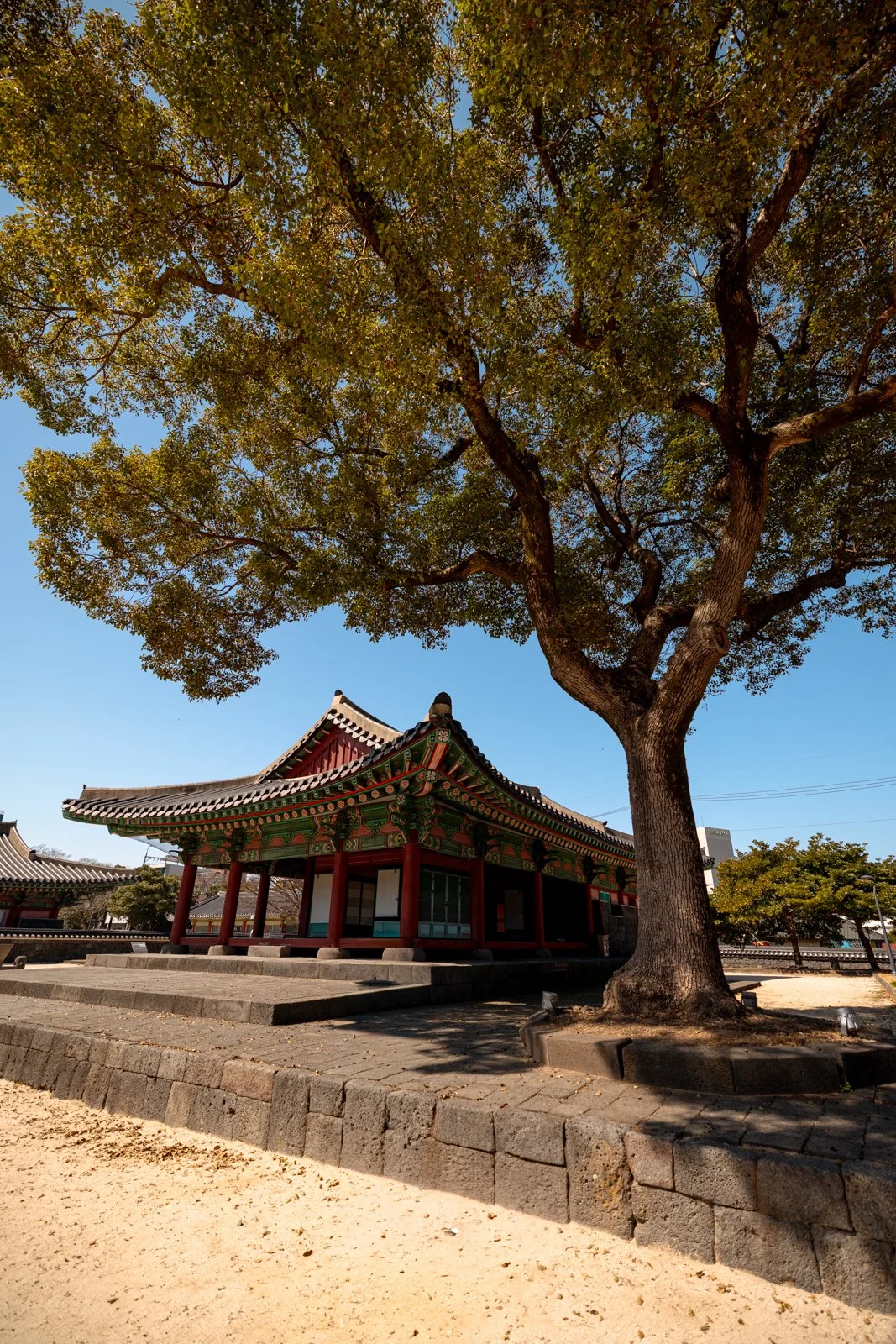 2026 JEJU ISLAND JEJUMOK GWANA-3.jpg