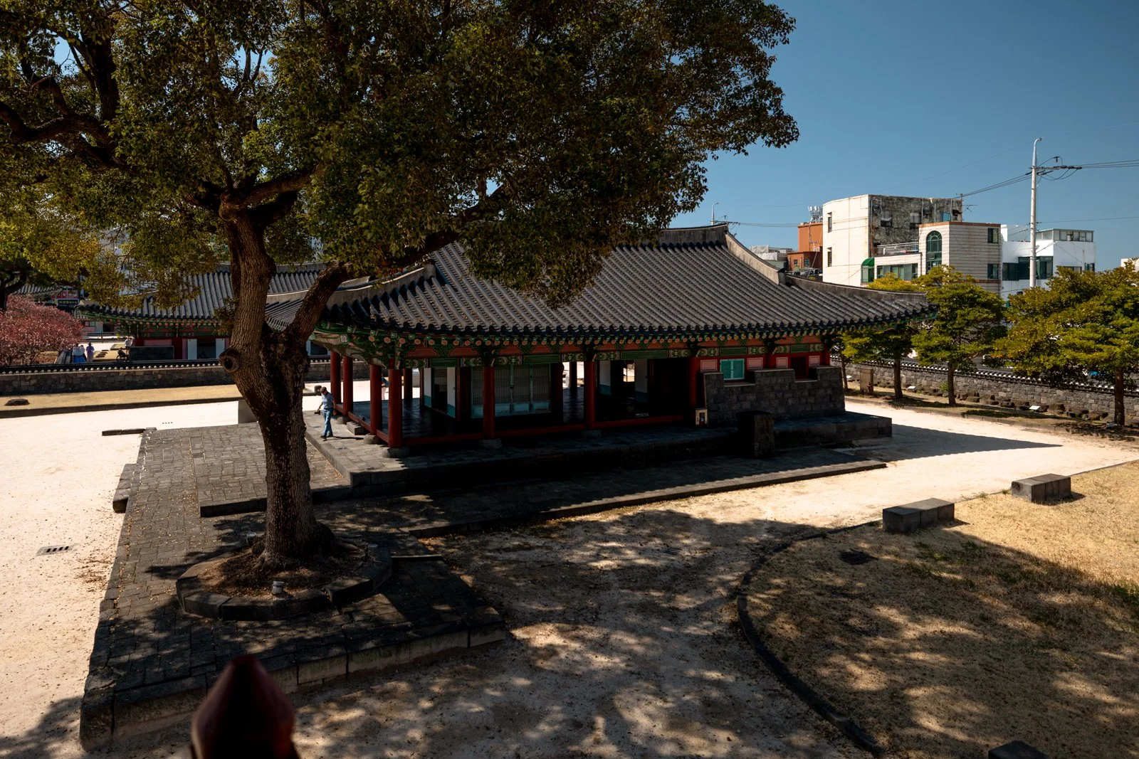 2026 JEJU ISLAND JEJUMOK GWANA-5.jpg