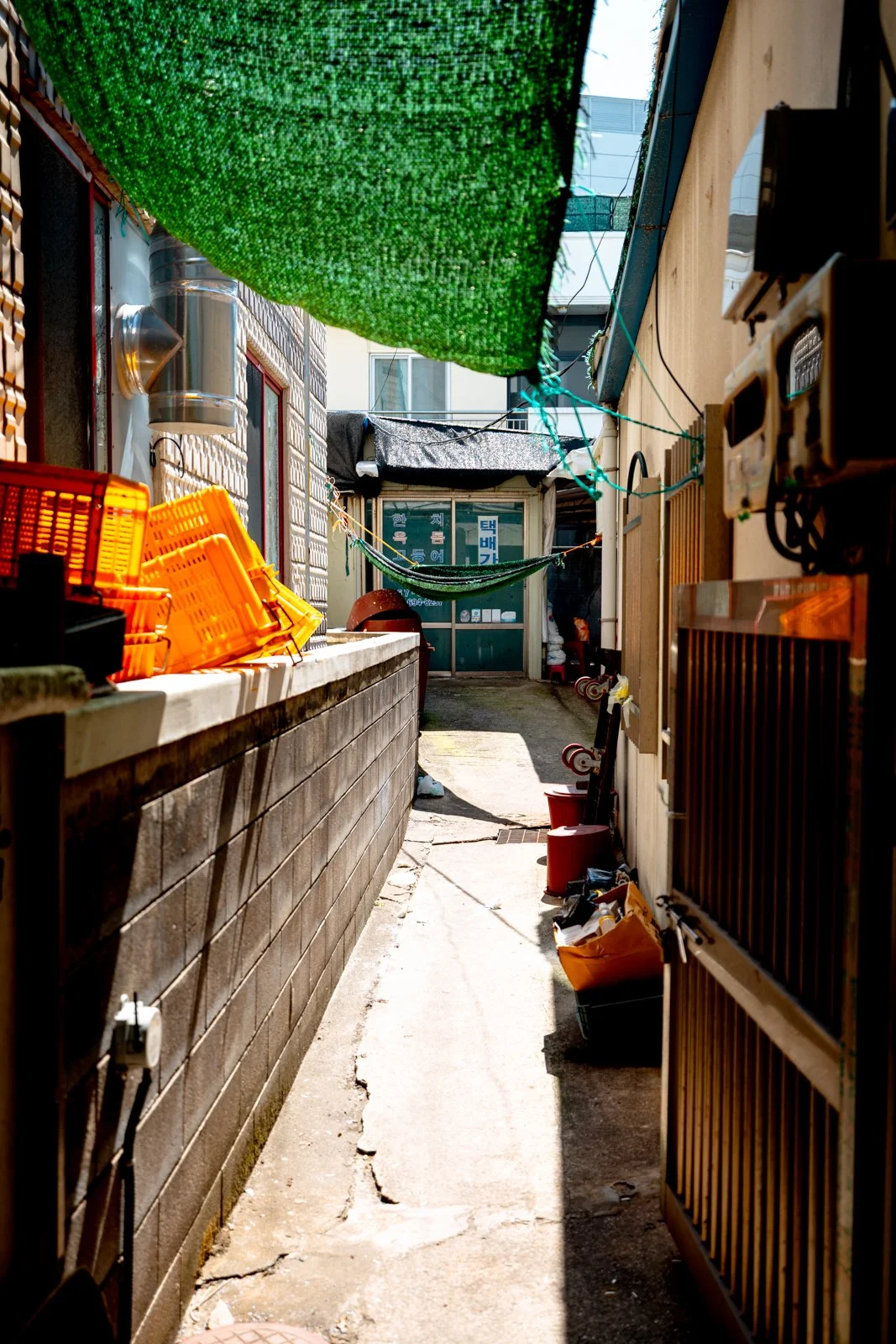 2026 JEJU ISLAND DONGMUN MARKET-8.jpg