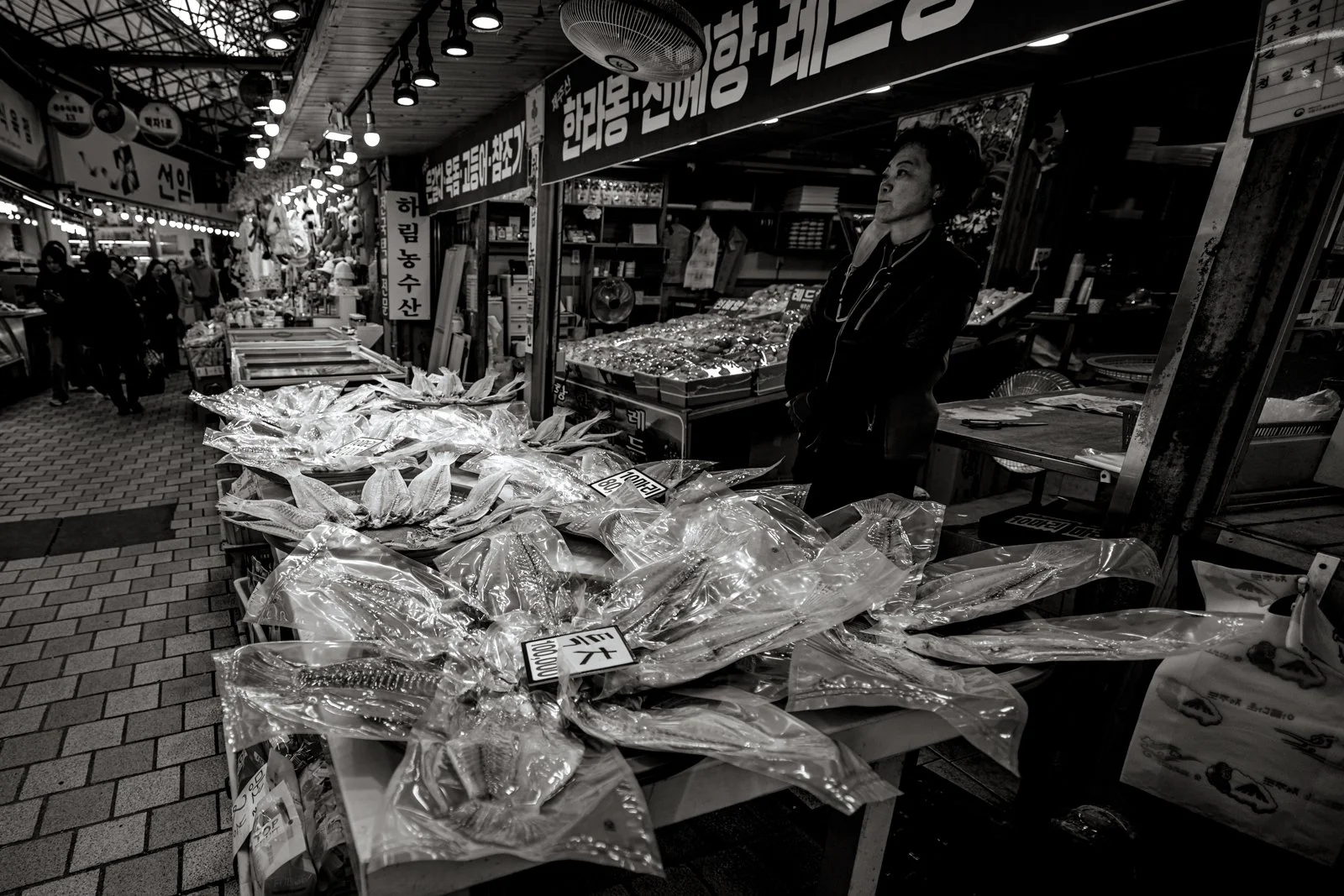 2026 JEJU ISLAND DONGMUN MARKET-16.jpg