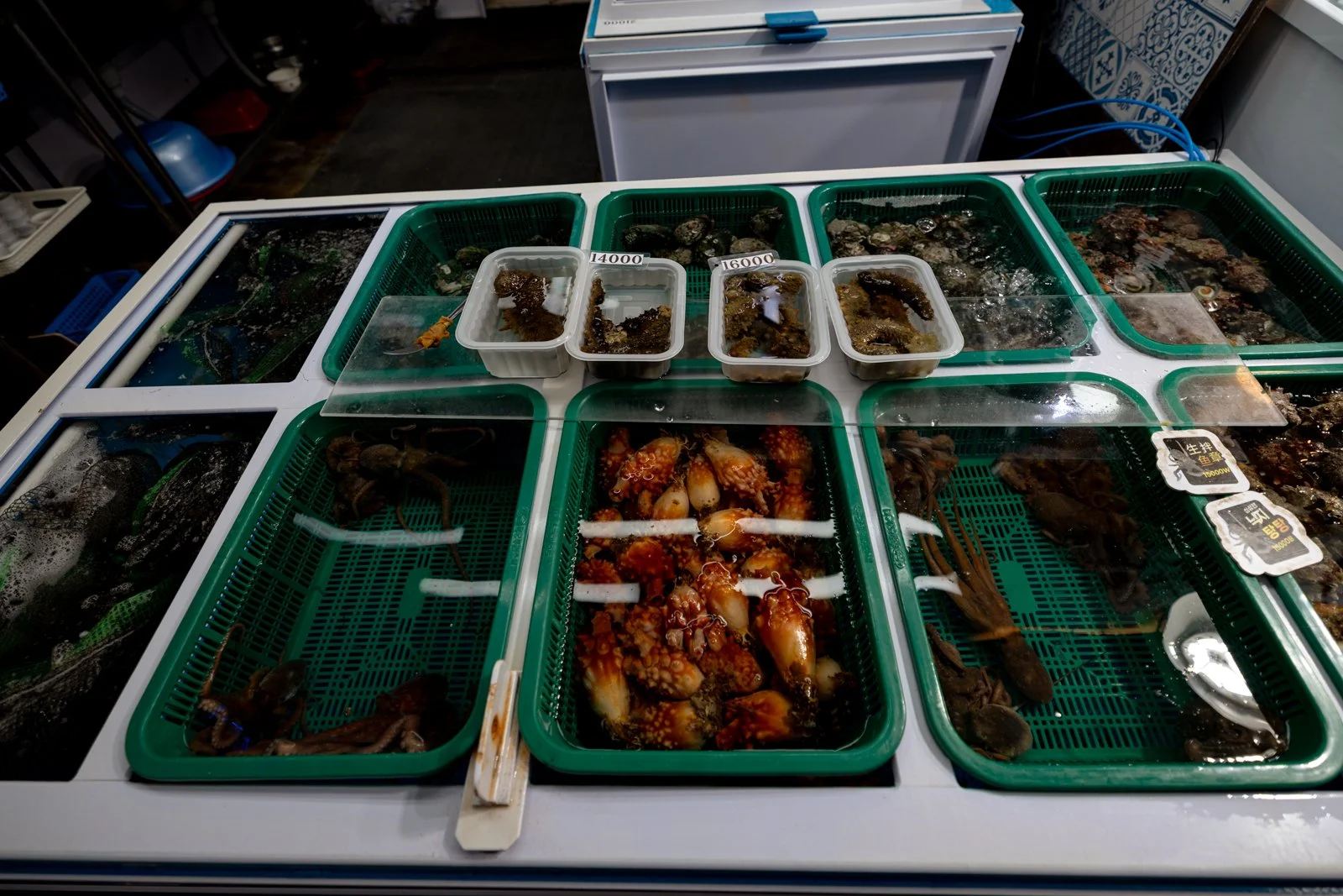 2026 JEJU ISLAND DONGMUN MARKET-18.jpg