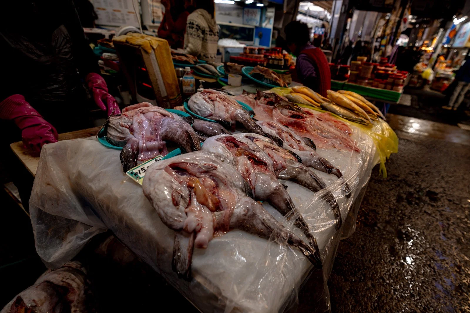 2026 JEJU ISLAND DONGMUN MARKET-20.jpg
