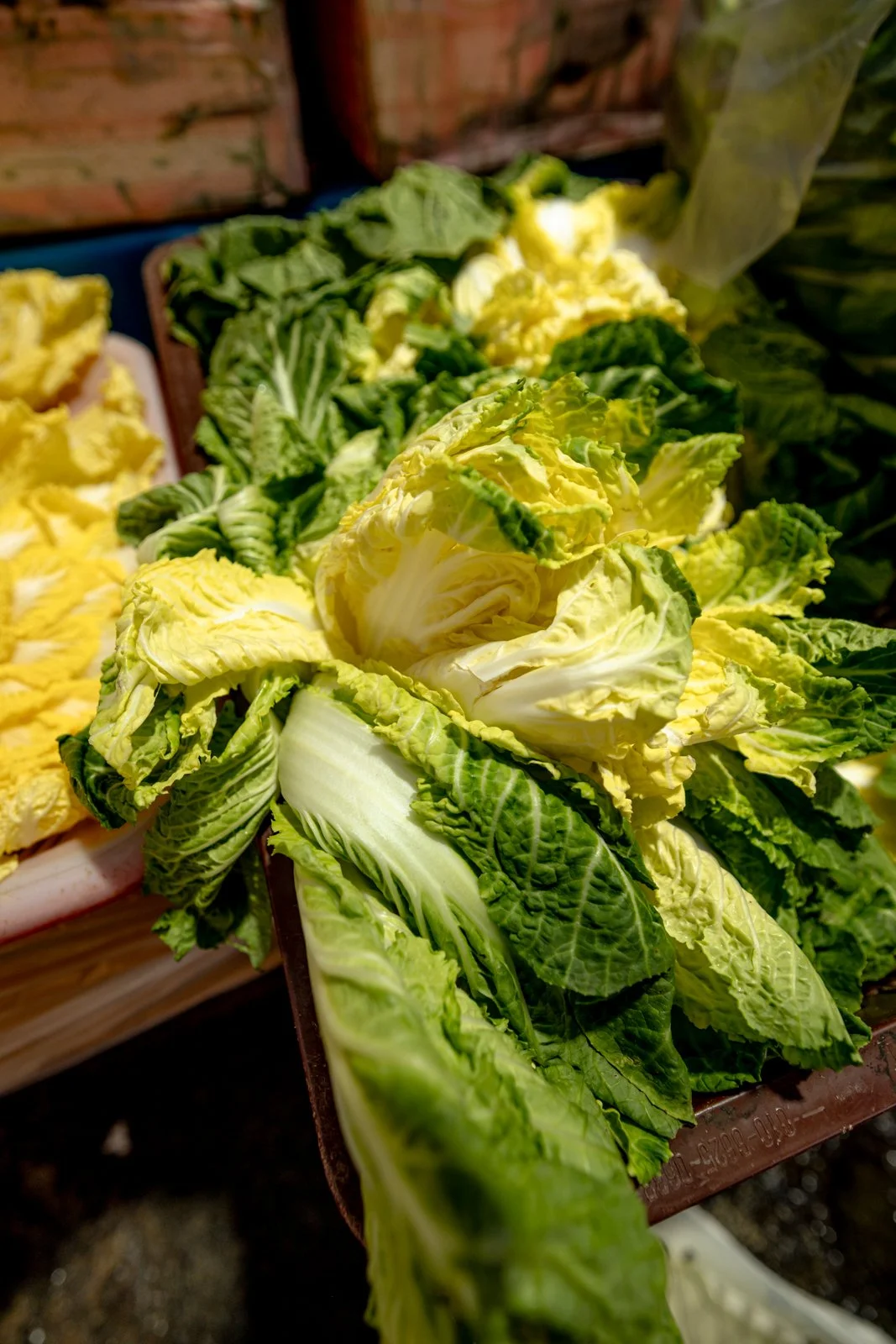 2026 JEJU ISLAND DONGMUN MARKET-25.jpg