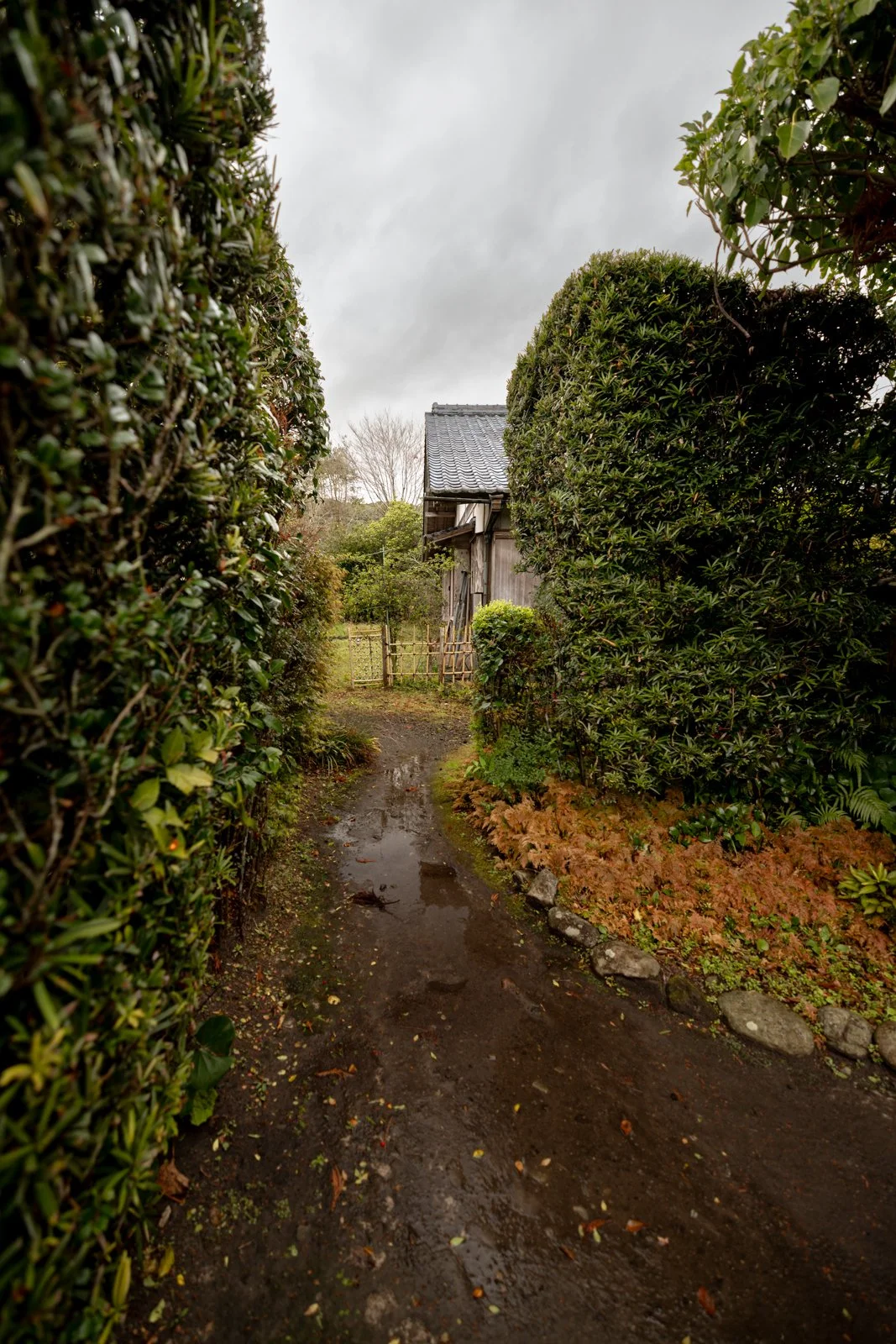 2026 CHIRAN SAMURAI VILLAGE-1.jpg