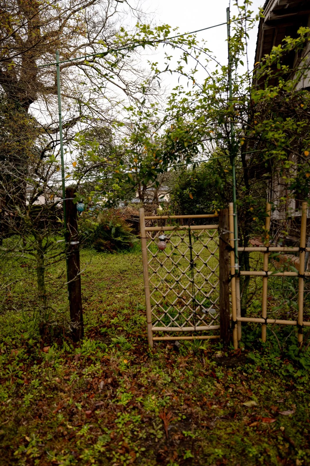 2026 CHIRAN SAMURAI VILLAGE-4.jpg