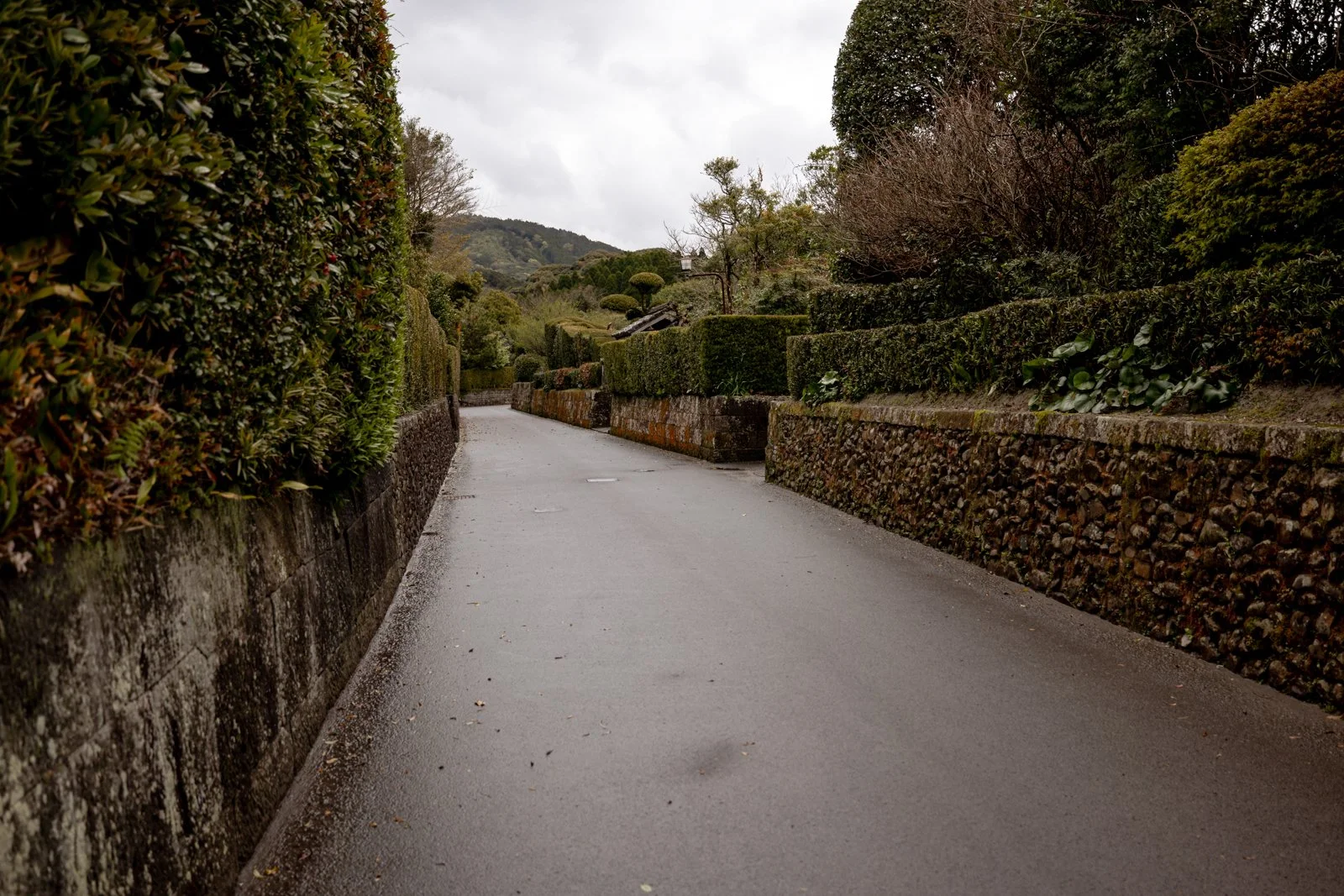 2026 CHIRAN SAMURAI VILLAGE-5.jpg