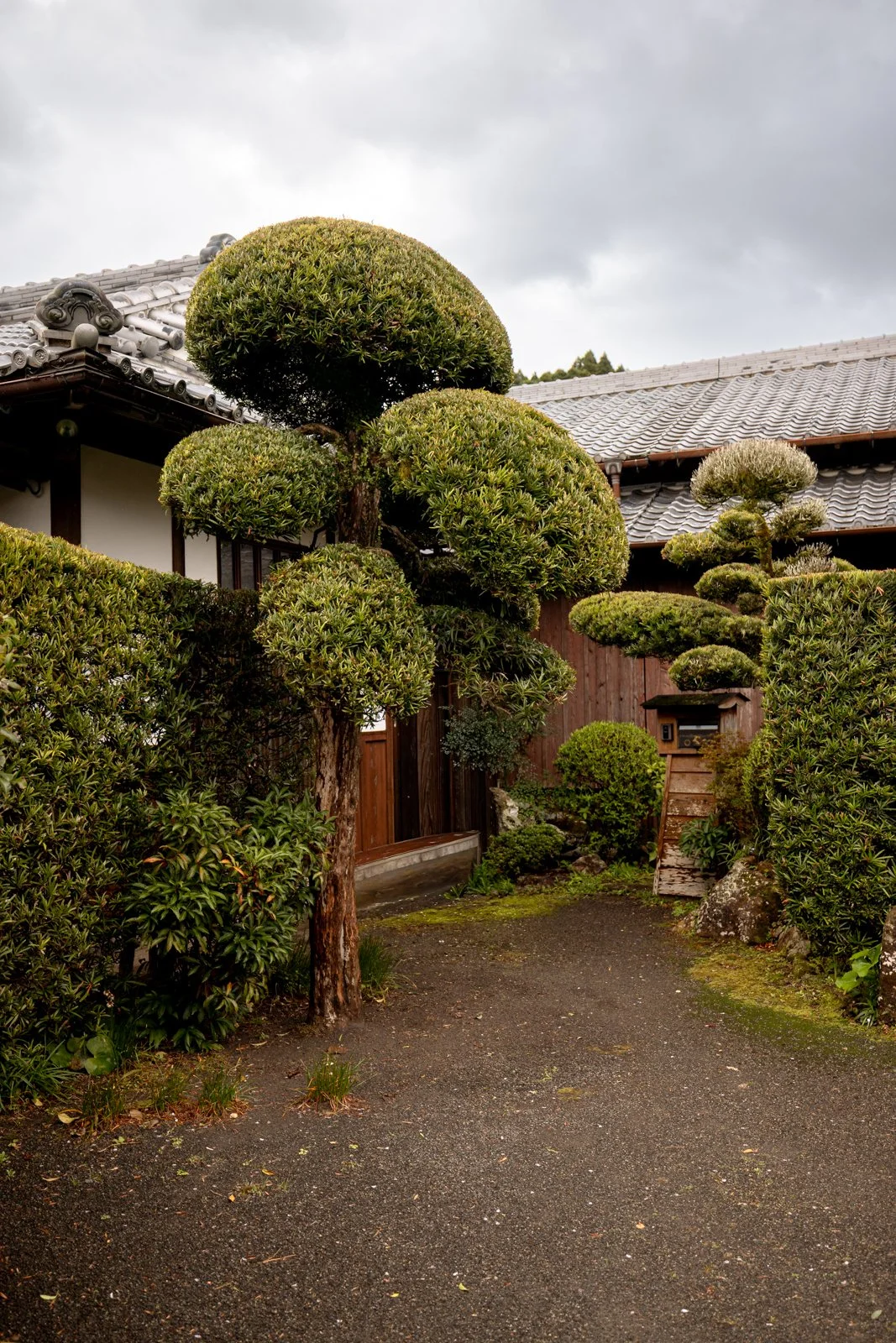 2026 CHIRAN SAMURAI VILLAGE-13.jpg