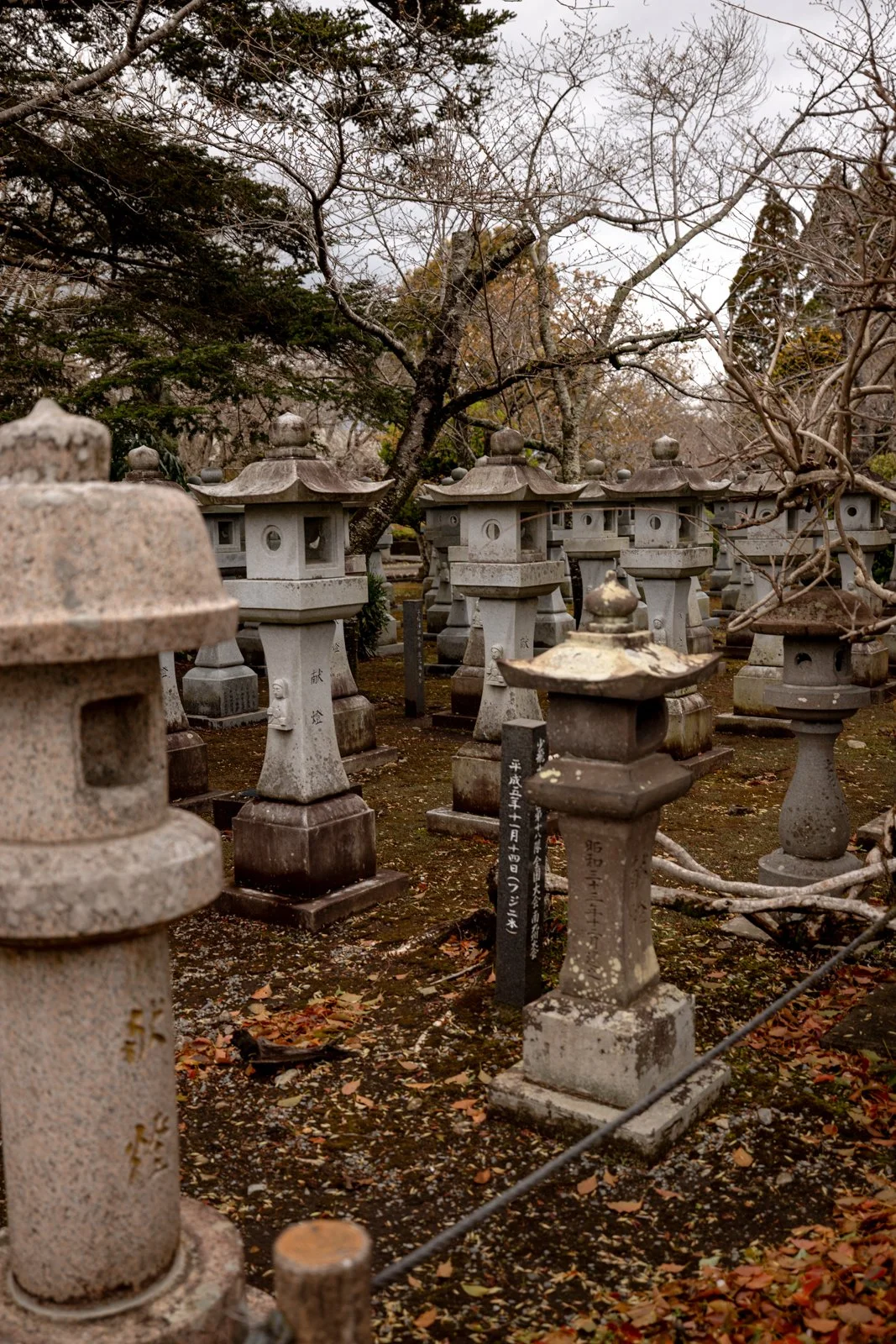 2026 CHIRAN PEACE MUSEUM-8.jpg