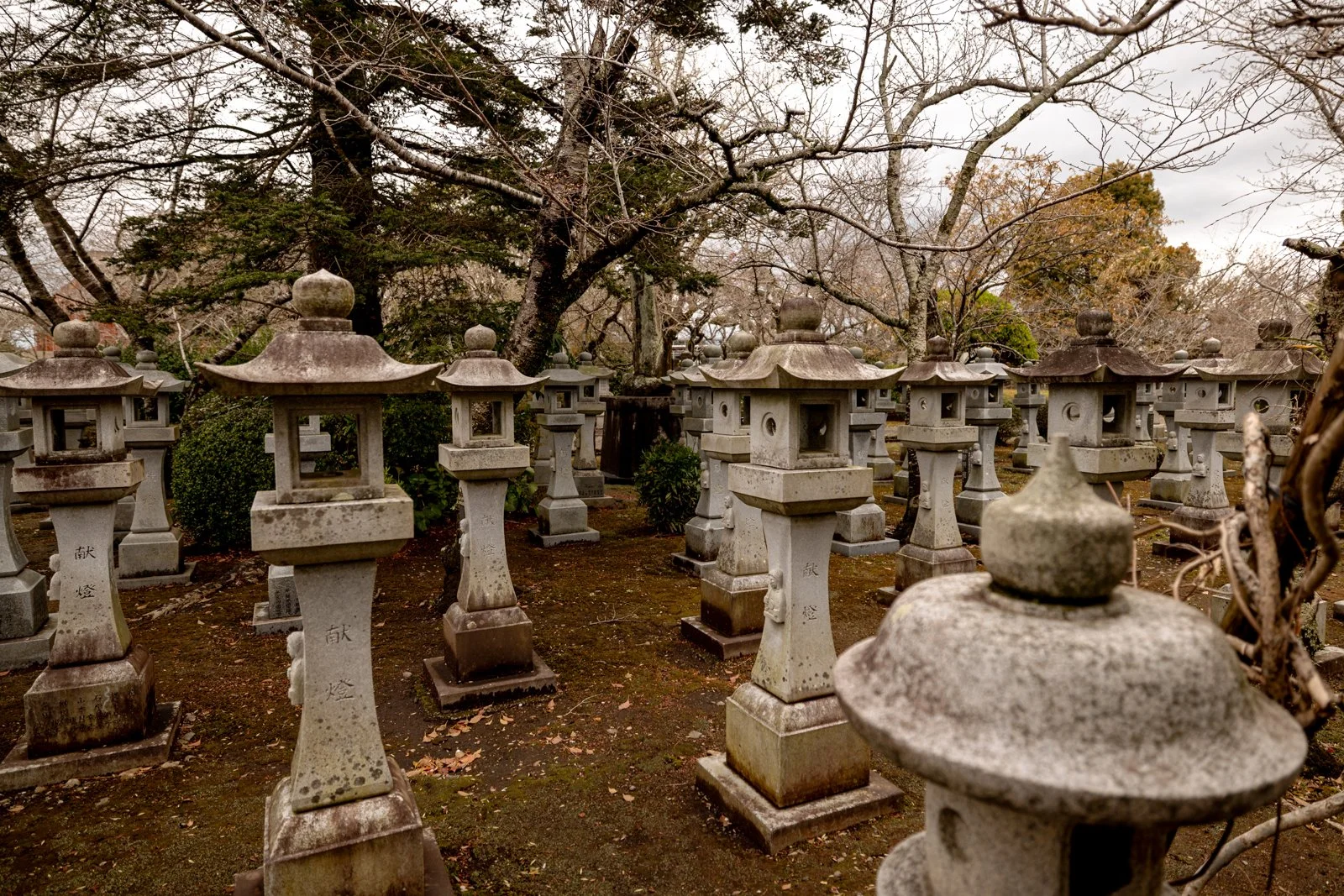 2026 CHIRAN PEACE MUSEUM-9.jpg