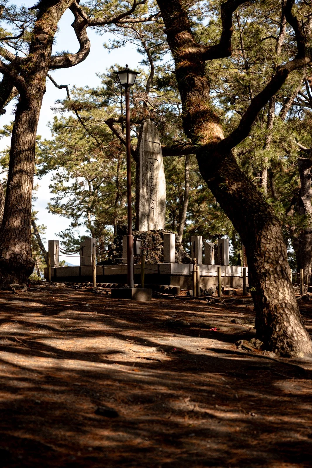 2026 SHIMIZU MIHONO MATSUBARA BEACH-5.jpg