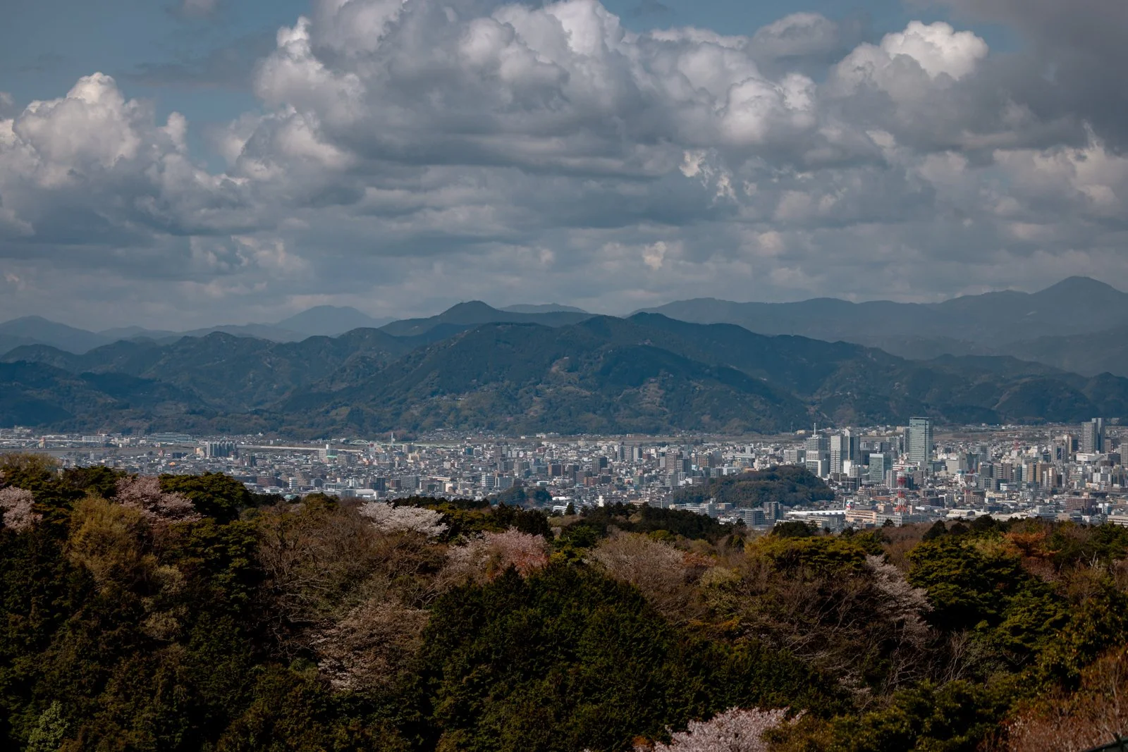 2026 SHIMIZU NIHONDAIRA ROPEWAY-2.jpg