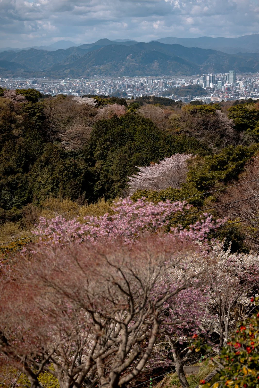 2026 SHIMIZU NIHONDAIRA ROPEWAY-3.jpg