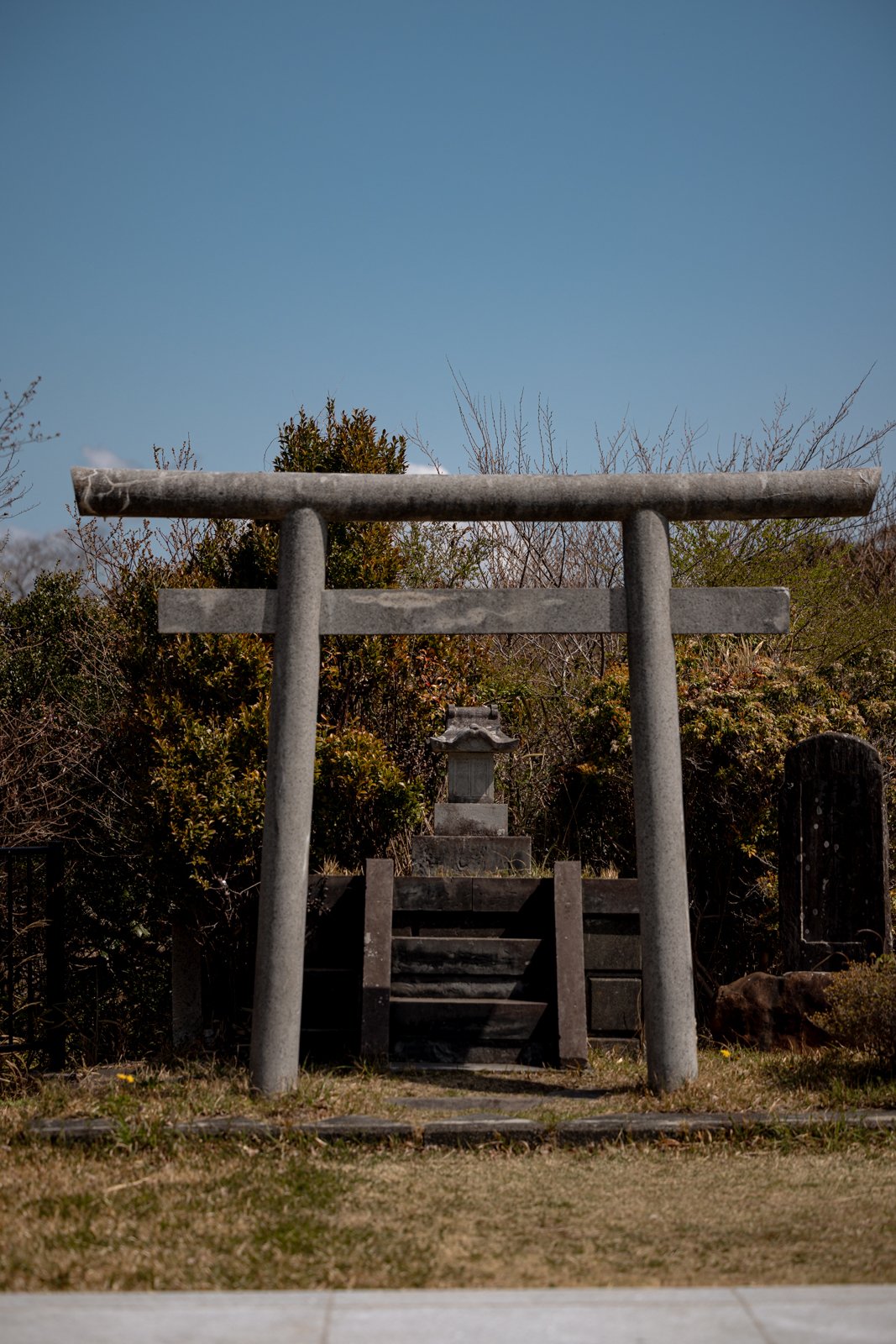 2026 SHIMIZU NIHONDAIRA ROPEWAY-5.jpg