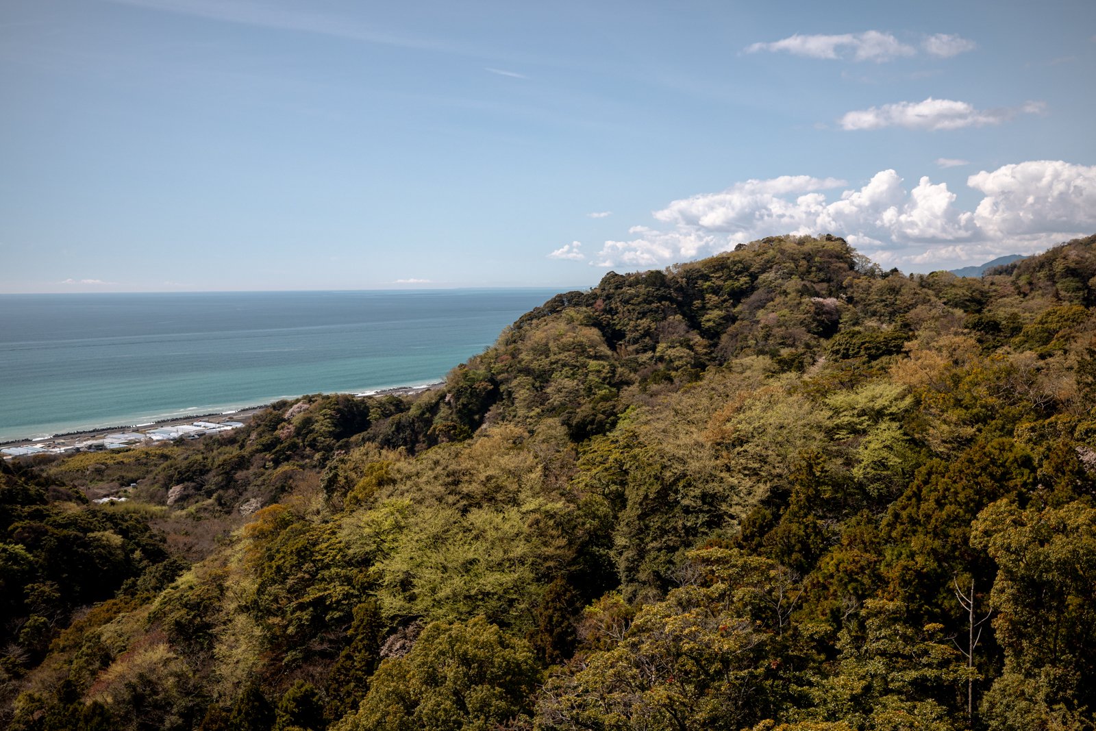 2026 SHIMIZU NIHONDAIRA ROPEWAY-13.jpg