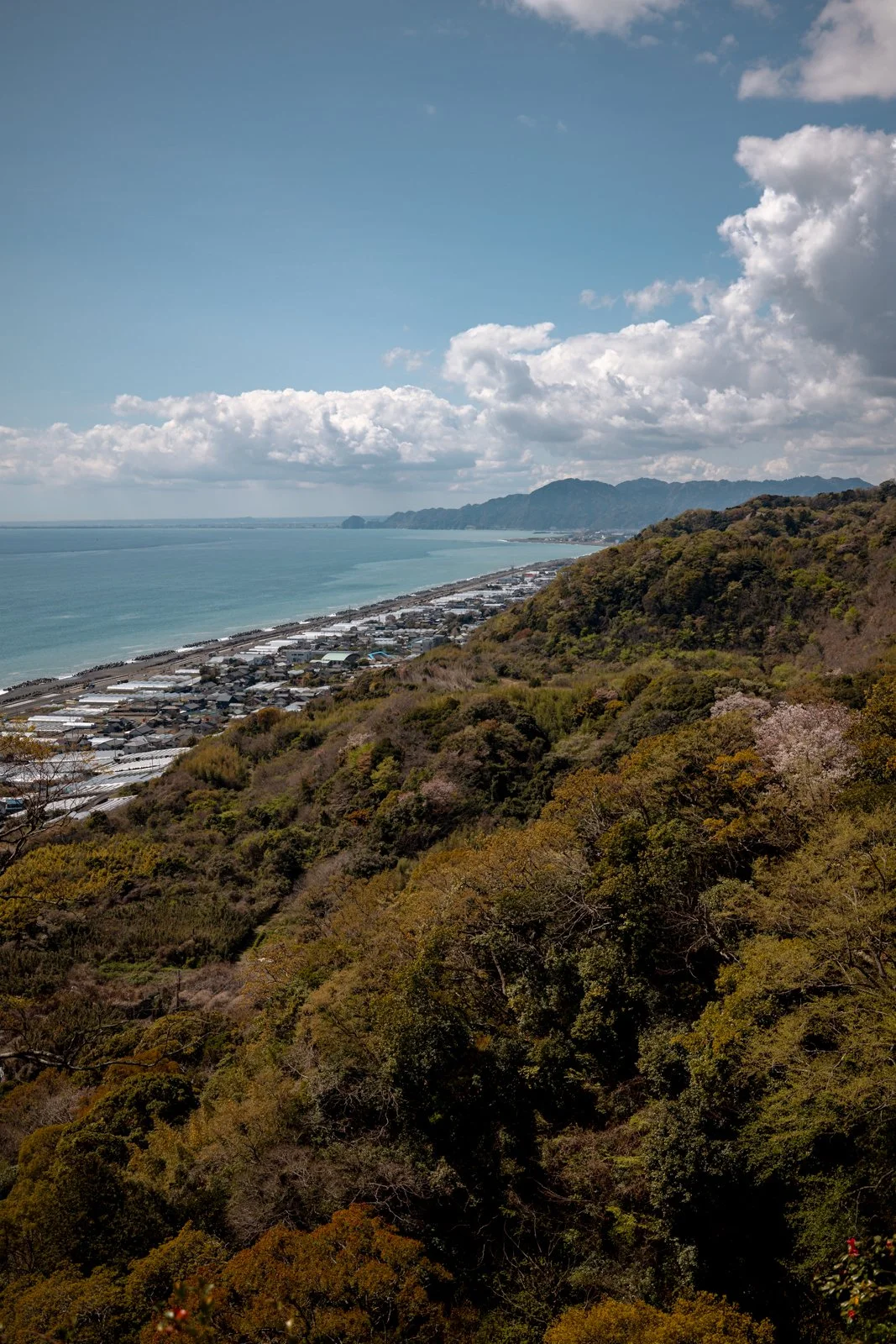 2026 SHIMIZU NIHONDAIRA ROPEWAY-15.jpg