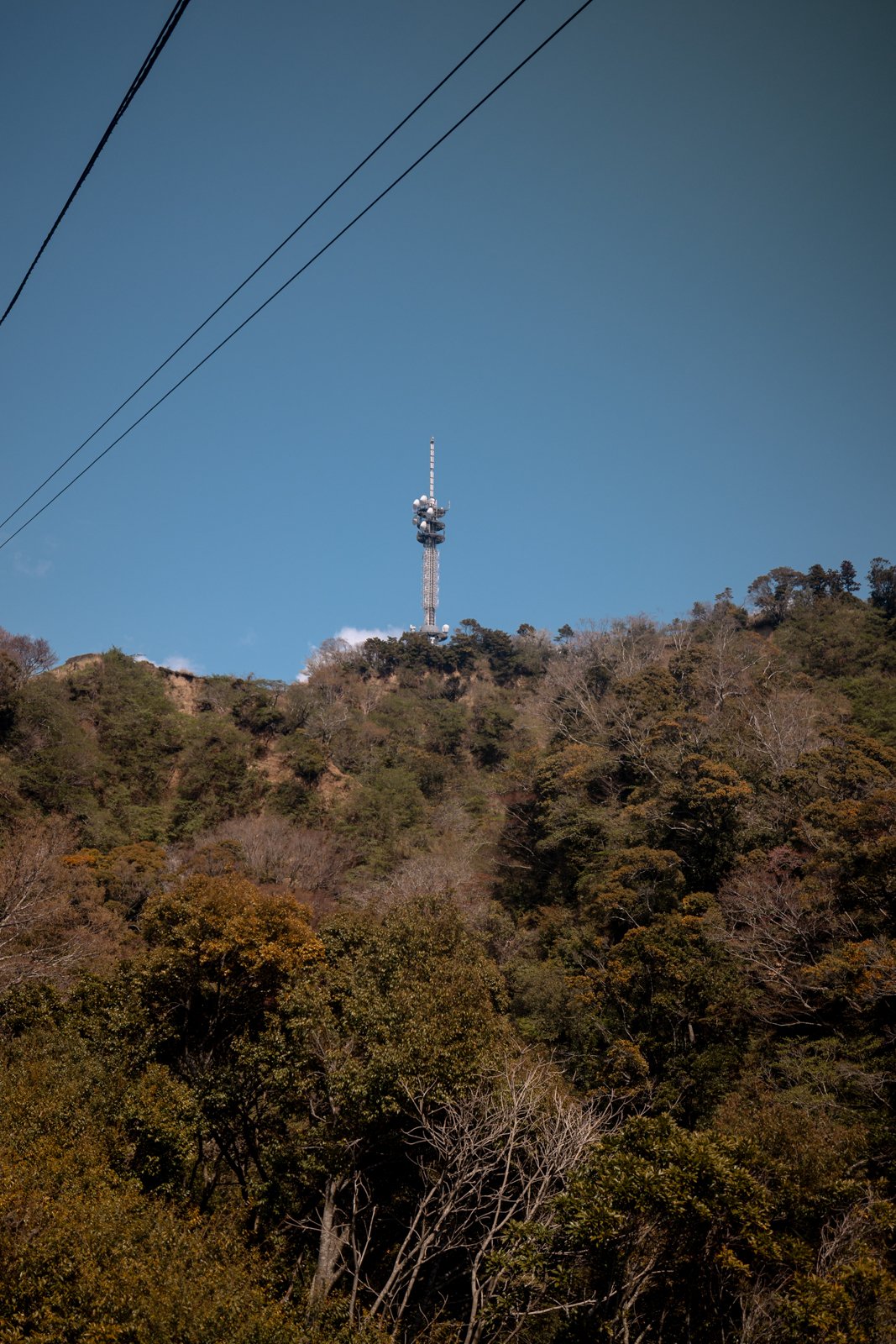 2026 SHIMIZU NIHONDAIRA ROPEWAY-16.jpg