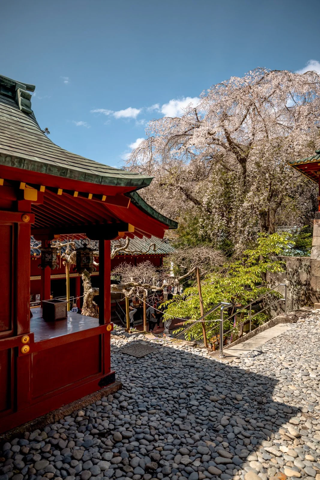 2026 SHIMIZU KUNOZAN TOSHUGU SHRINE-9.jpg