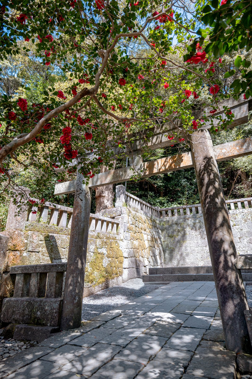 2026 SHIMIZU KUNOZAN TOSHUGU SHRINE-20.jpg